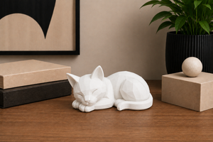 Sleeping cat