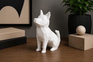 PolyDog